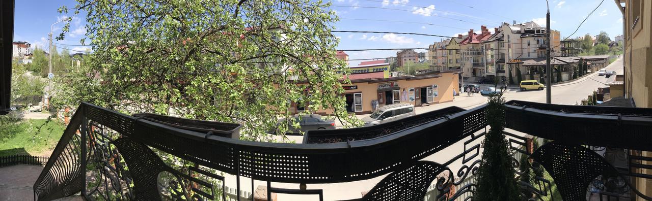 Villa L'Vovskaia 特鲁斯卡韦茨 外观 照片